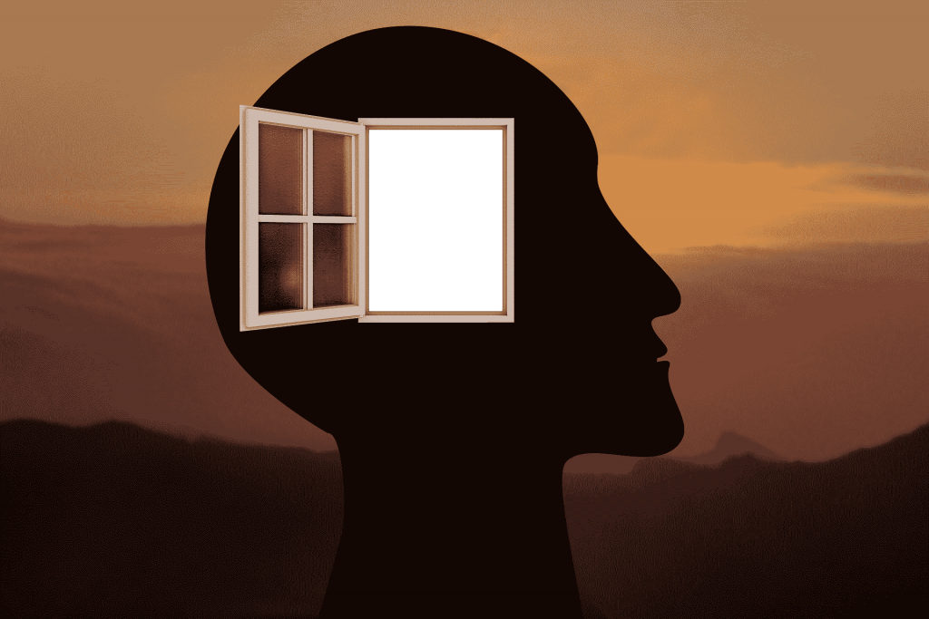abundance mindset for law of attraction