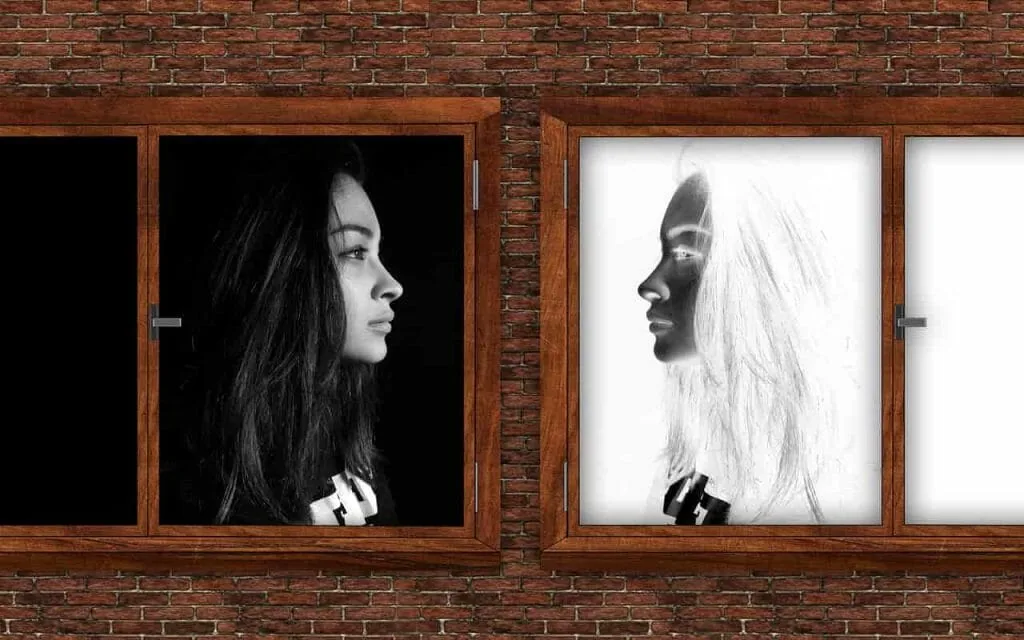 Talk to your shadow: a young woman's profile in a dark window facing her pale, inverted mirror image in the next window