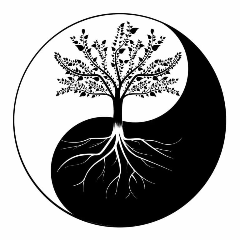 Negativity and Positivity