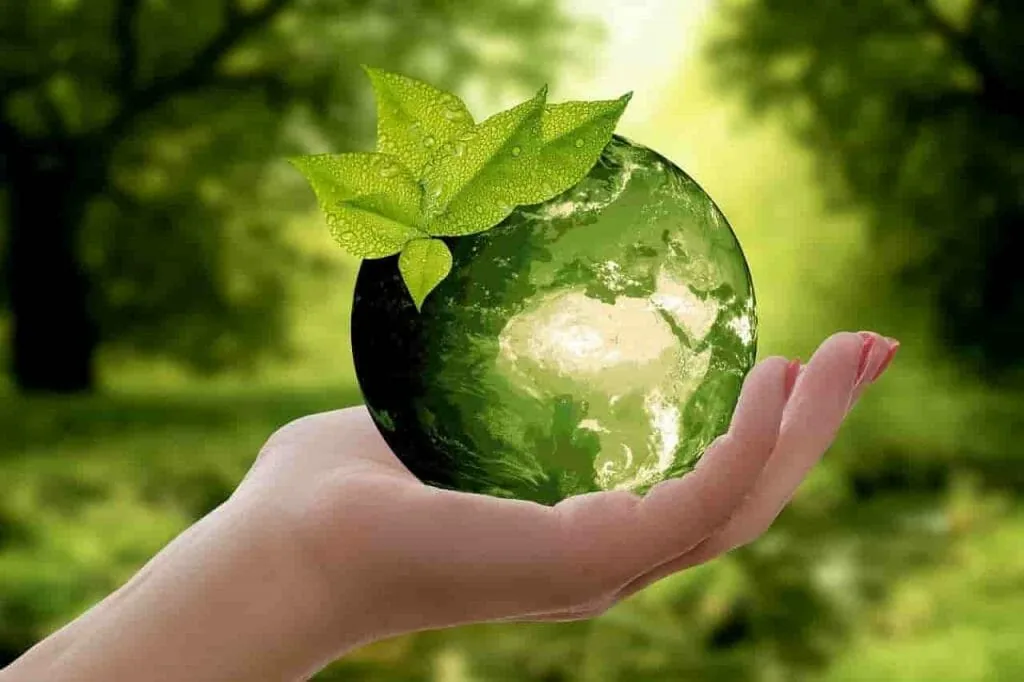 planet will thank you