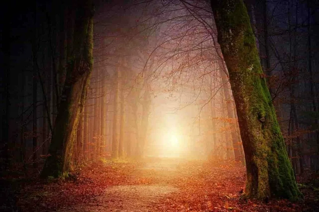 shifting from darkness into light