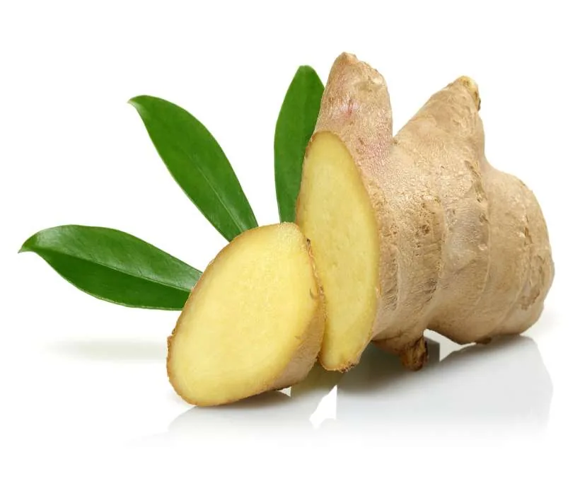 Ginger as a booster for other herbs: a fresh ginger root with two cut slices and green leaves