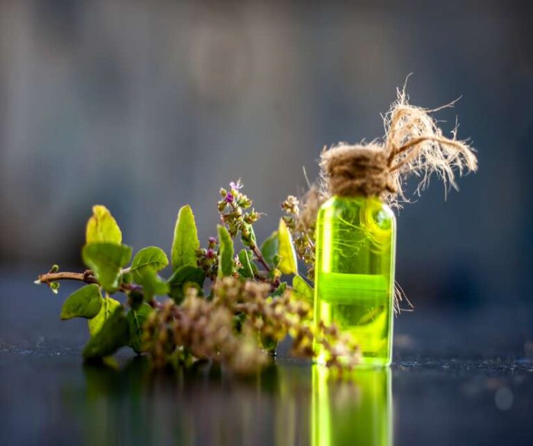 Holy Basil magical properties Tulsi