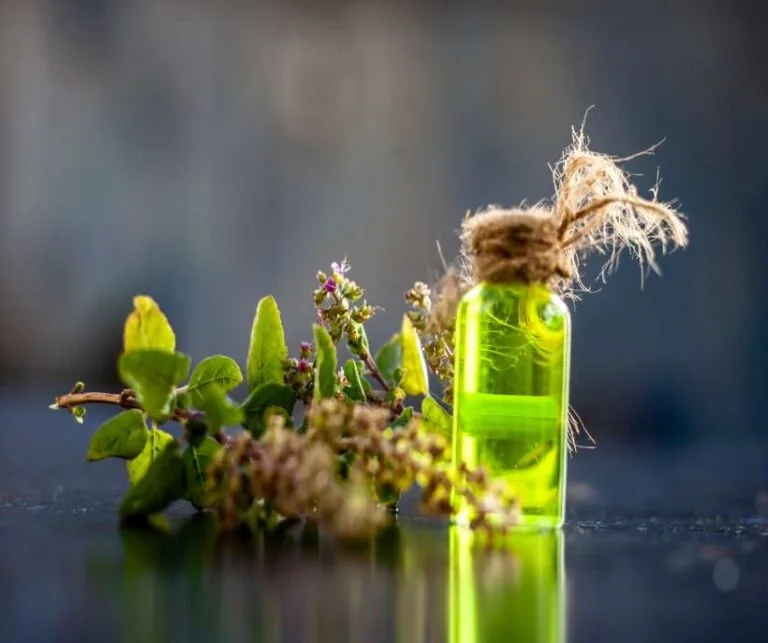 Holy Basil magical properties Tulsi
