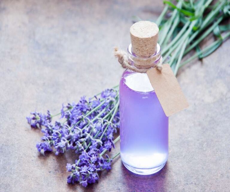 Lavender Magical Properties