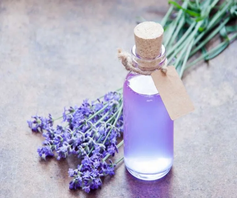 Lavender Magical Properties