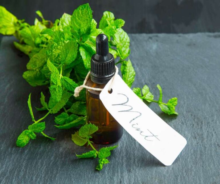Mint leaf magical properties