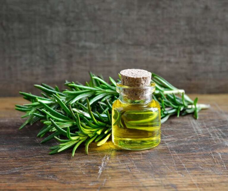 Rosemary Magical Properties