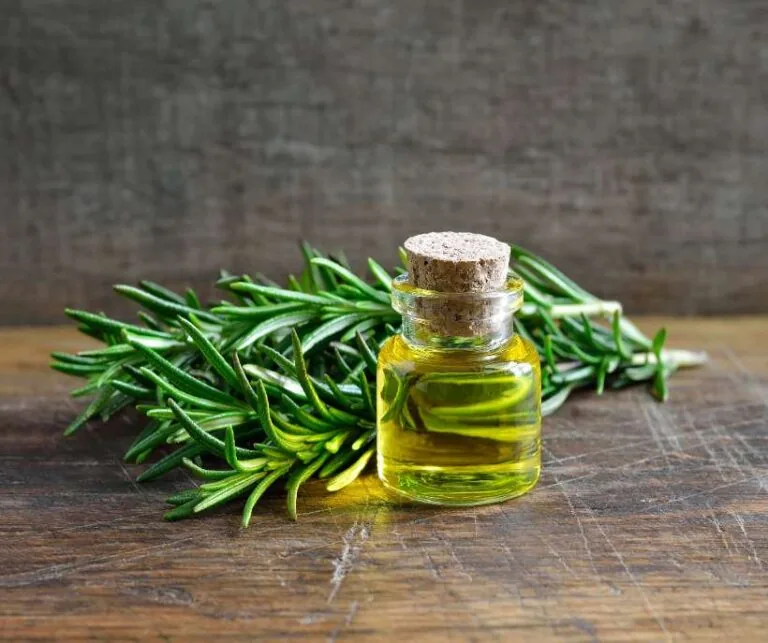 Rosemary Magical Properties