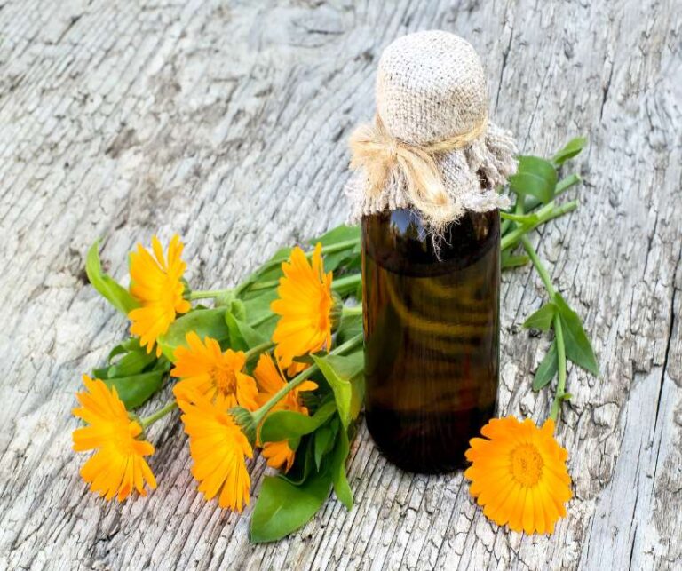 calendula magical properties
