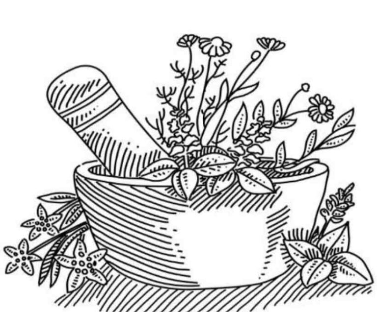 magical herbs