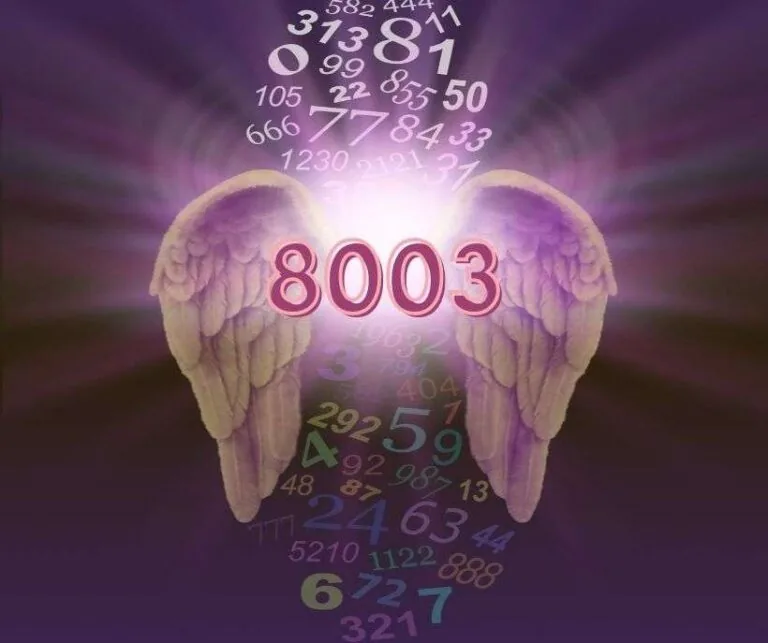8003 Angel number