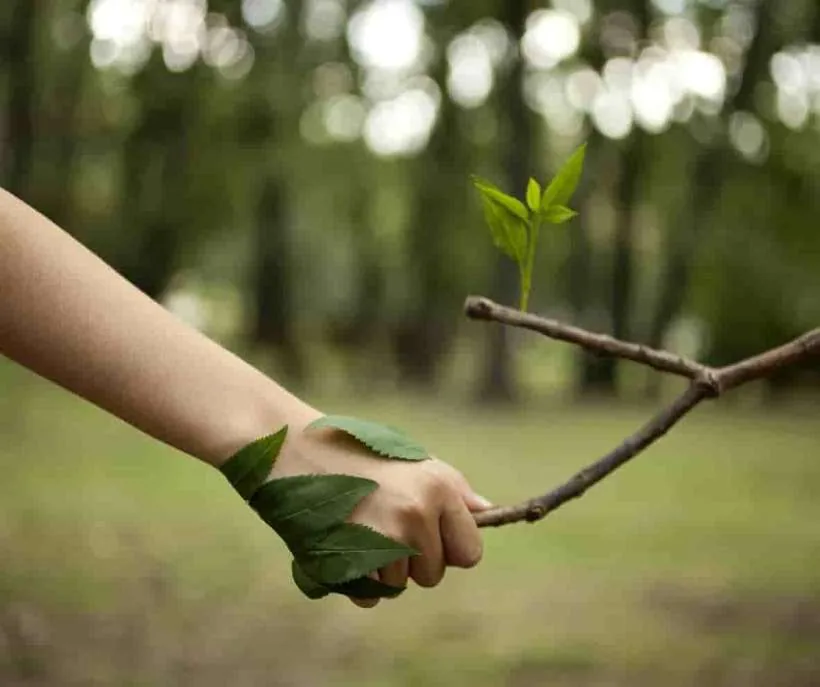 Persist in your assumption by trusting in the universe